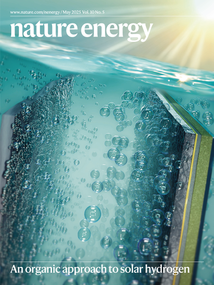 Nature Energy cover
